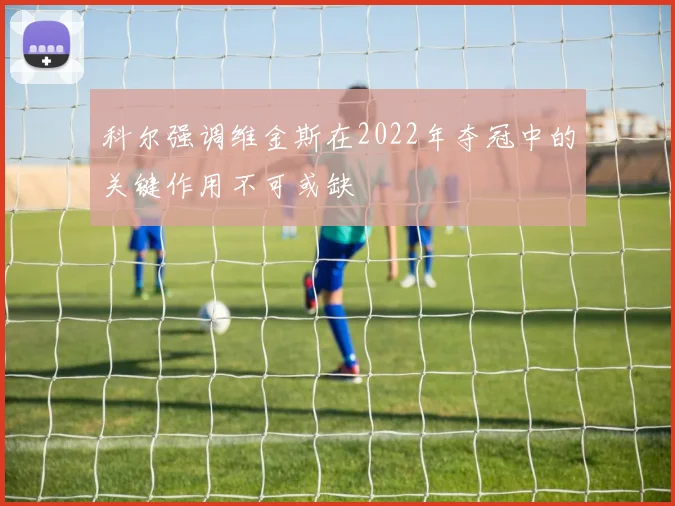 科尔强调维金斯在2022年夺冠中的关键作用不可或缺
