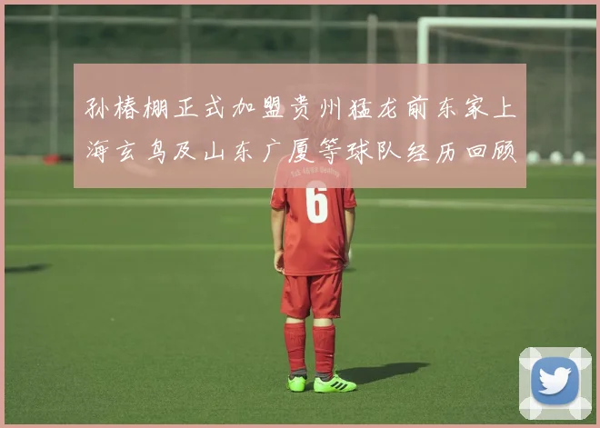孙椿棚正式加盟贵州猛龙前东家上海玄鸟及山东广厦等球队经历回顾